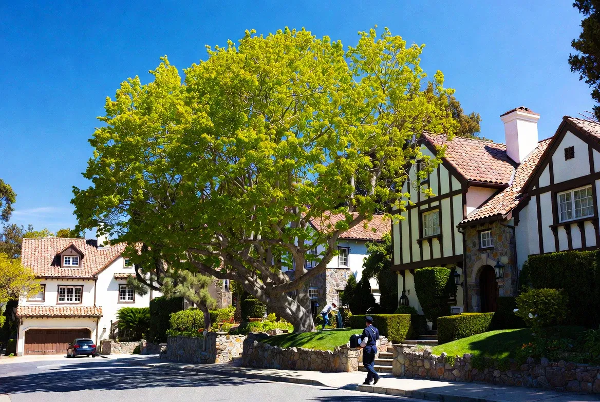 Piedmont and Alameda residential properties